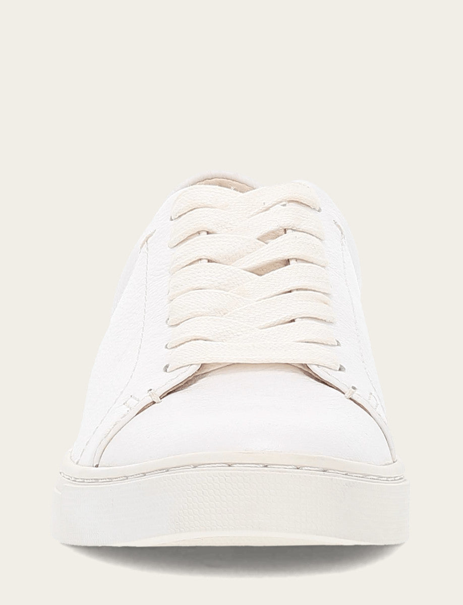 Women's White Ivy Low Lace Sneakers