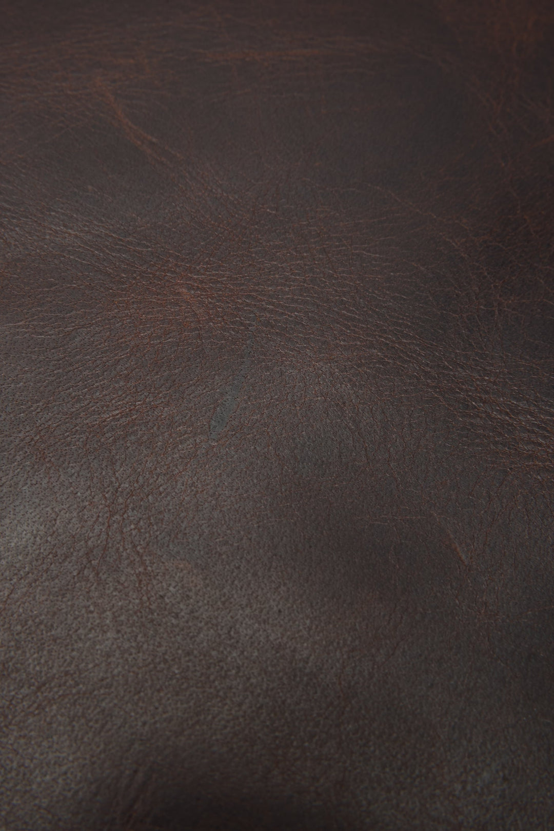 Logan Dark Brown Backpack